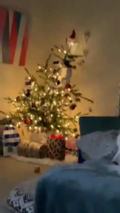 Just put it up