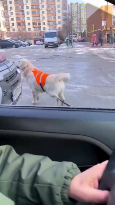 To cross street safely ??