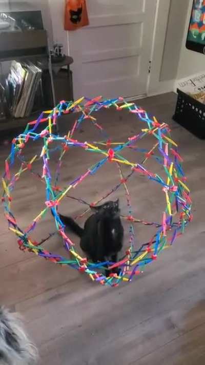 Mistakes were made