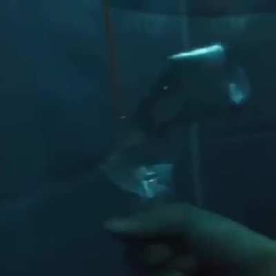 A diver showing the change in air pressure