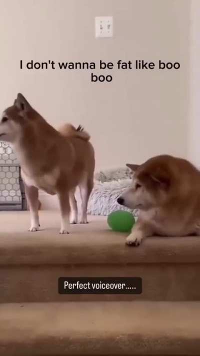 When Boo Boo is sick of you