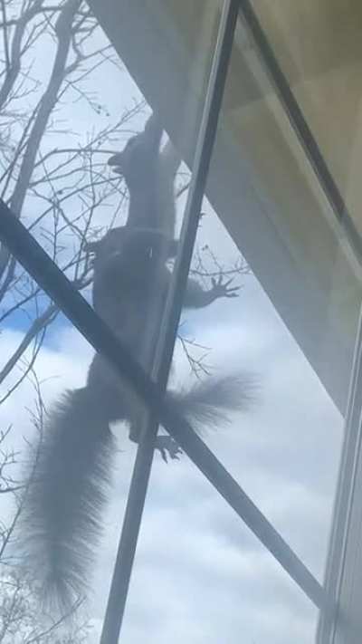 My sister looked out her window and saw this…