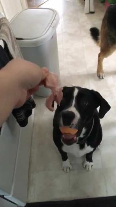 Can’t have your cake and eat it too