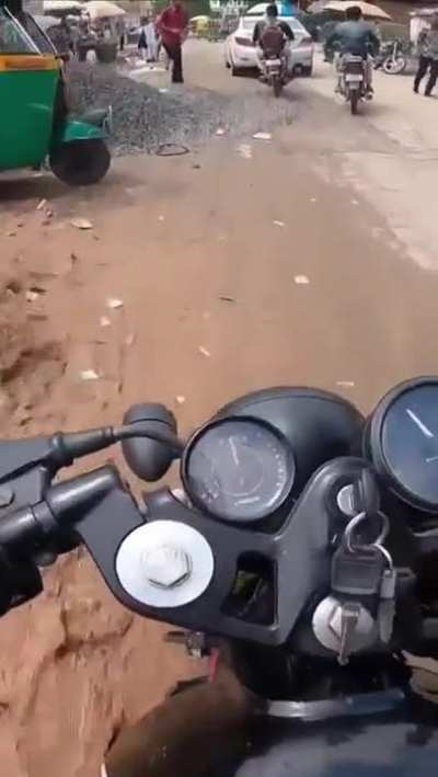 Cows rule the indian roads