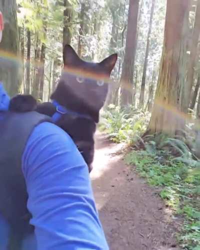 O_O in the woods