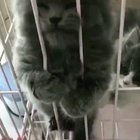 Fugitive is unhappy behind bars
