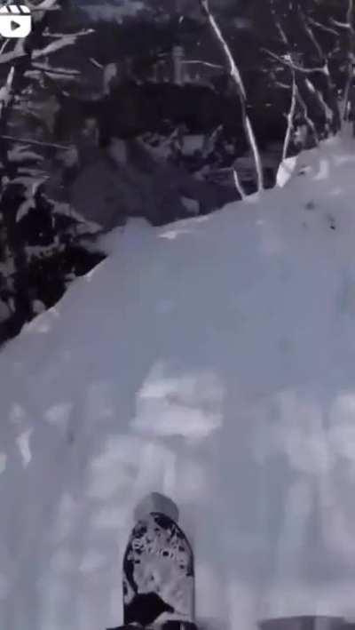 Snow skiing?