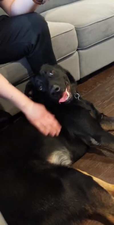Happy derp