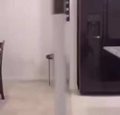 Body swimming
