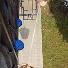 "Beam me up, human"