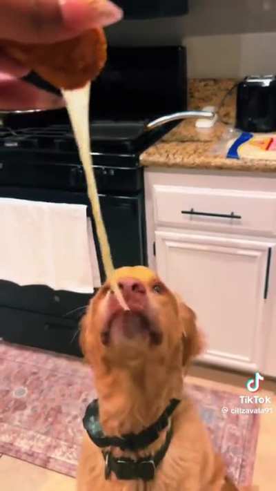 Rate the cheese pull 1-10 ??