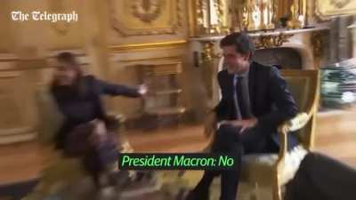 Emmanuel Macron’s dog pees in the fireplace during a meeting