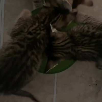 Head slam!