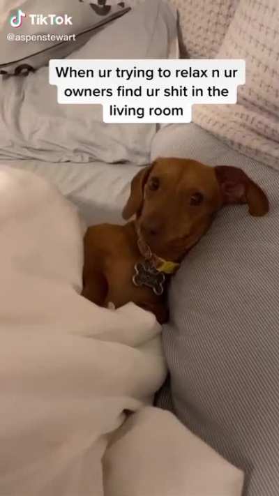 Just trying to relax on a peaceful Sunday...