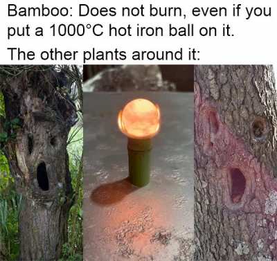? That's the hottest shit I've seen today ?