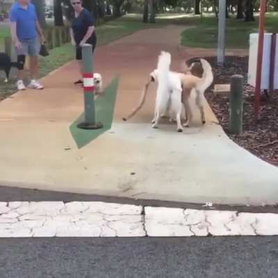 I got you