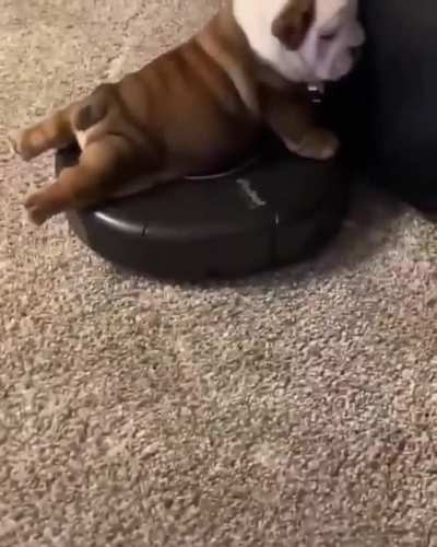?