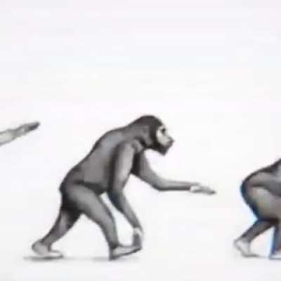 Evolution