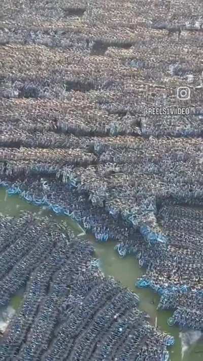 Bicycle graveyard in China