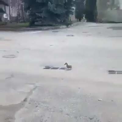 "What, Where?... FUCK"