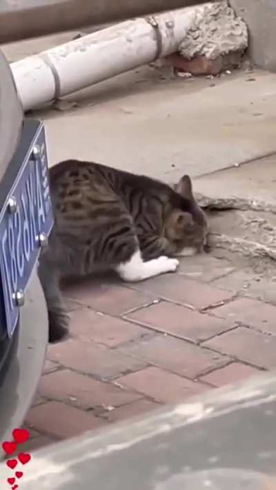 Maybe Maybe Maybe