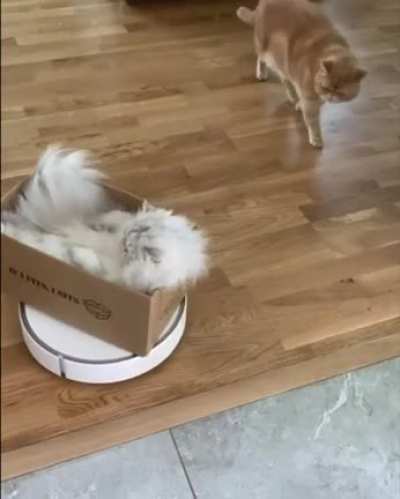 They see me rollin, they hatin... ? ?