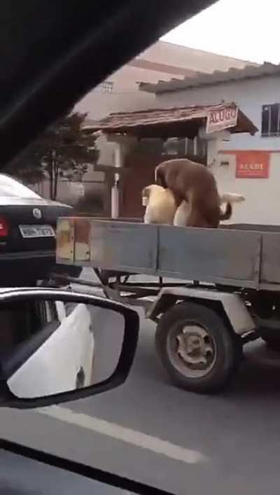 Skillfull driving