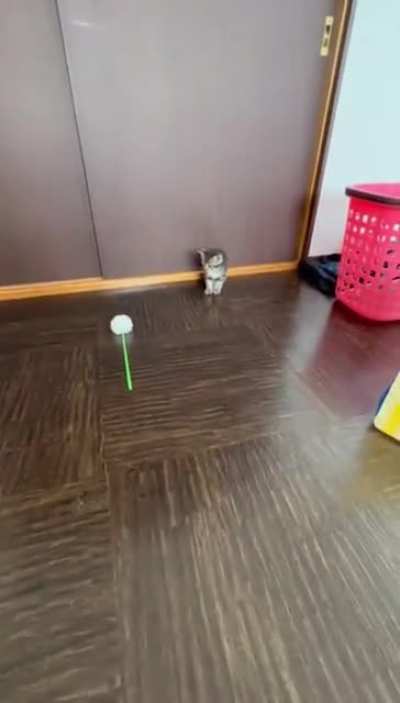 She has input lag