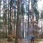 WCGW if we underestimate the durability of a tree?