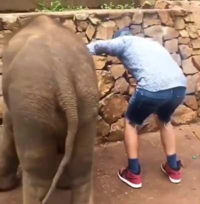 He took full advantage of this golden opportunity...??