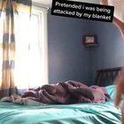 Humans don't deserve doggos