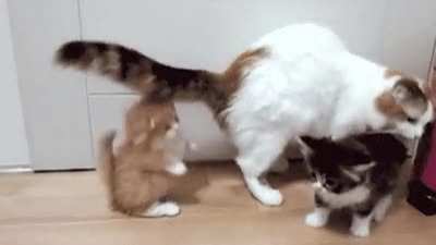 Attack from behind