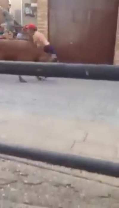Awww, that's a-gore-a-bull.