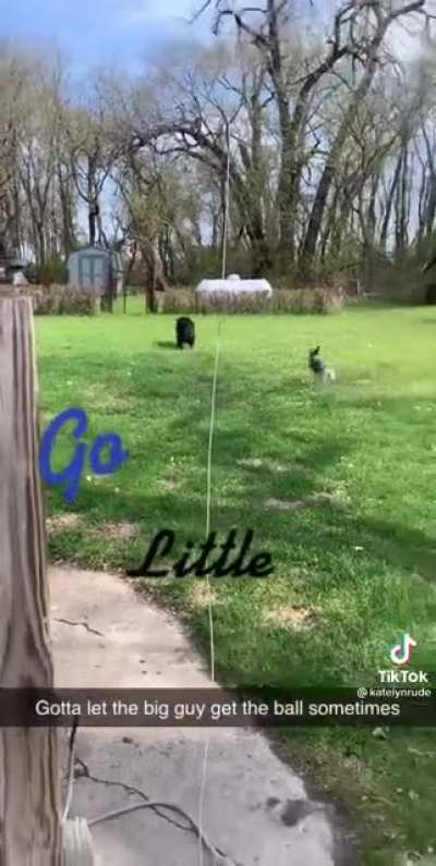 Go little rockstar!