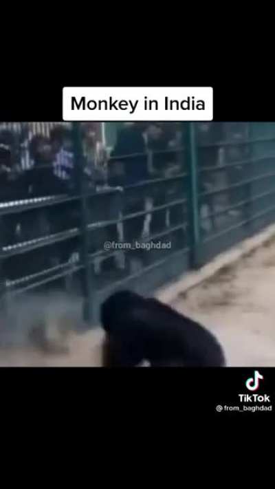 Wait what?