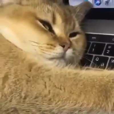 "Daddy don't work. Just cuddle."