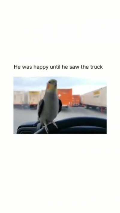 When he saw the truck