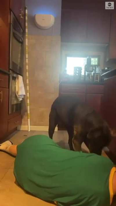 Owner tries to see dog’s reaction to her death