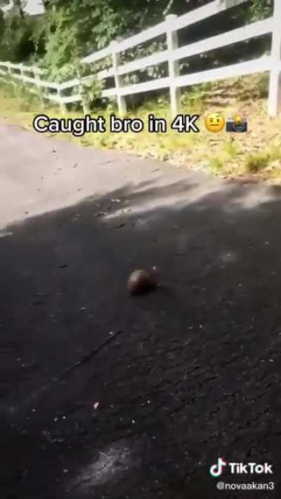mans said i’m out