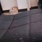 "Ooh look, a ceiling"