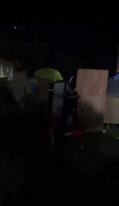 To protect the pro Palestine encampment against Zionist thugs