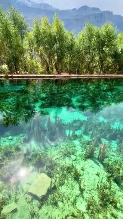 ? Sogha Lake in Pakistan ?