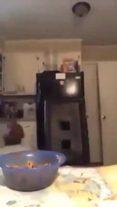 This is what happens when you cut spaghetti ?