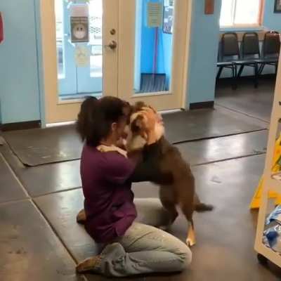 Lost doggo cries out with joy while reuniting with her worried owner