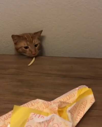 Your offering is acceptable...