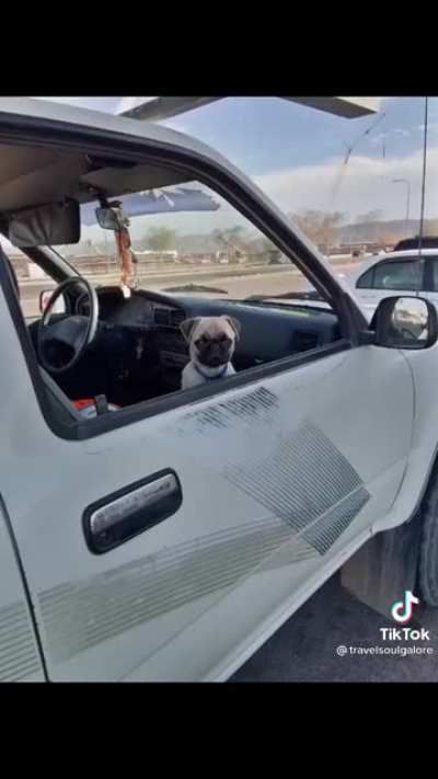 ruff job but someone’s gotta do it ?