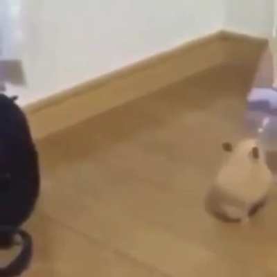 He seems to like the bottle