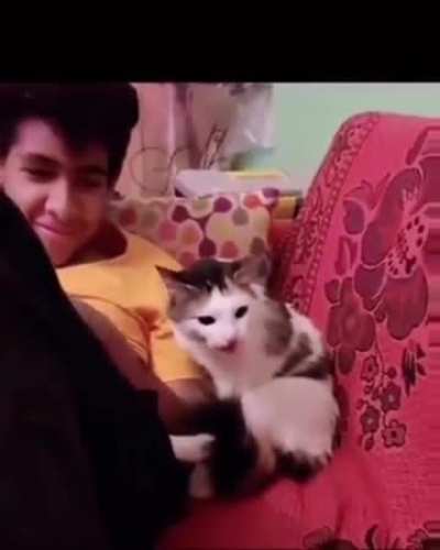 Level of trust