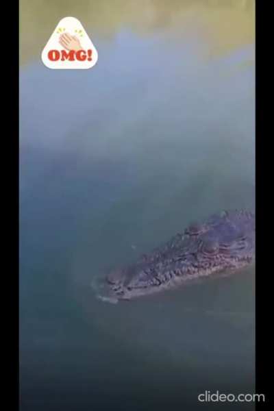 Wait for it...