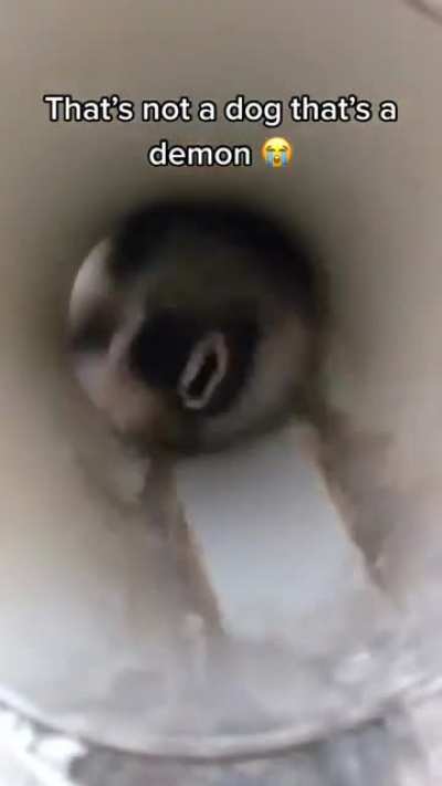wCGW With this
